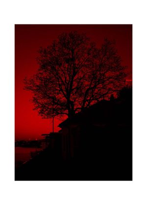 Larbre-Rouge